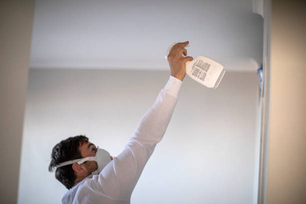 Best Insurance-Related Mold Remediation in St Ignace, MI