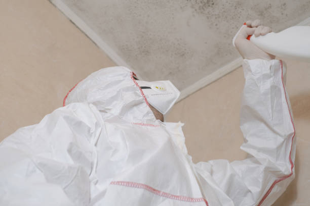 Best Industrial Mold Remediation in St Ignace, MI