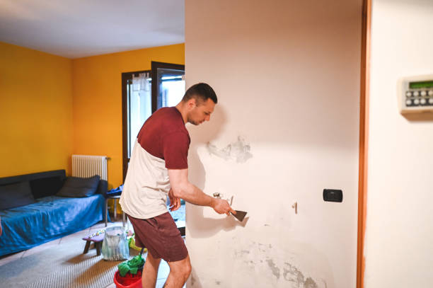 Best HVAC Mold Remediation in St Ignace, MI